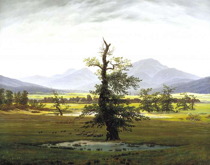 Magányos fa, Caspar David Friedrich