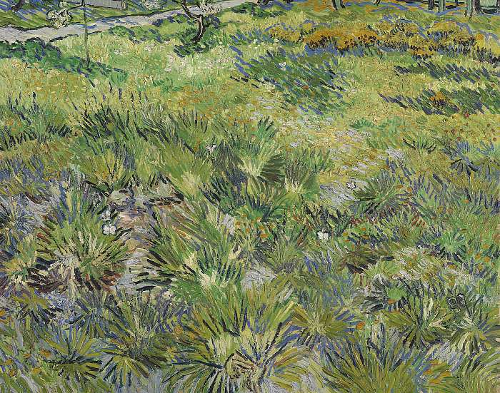 Mező a Saint-Paul Kórház kertjében, Vincent Van Gogh