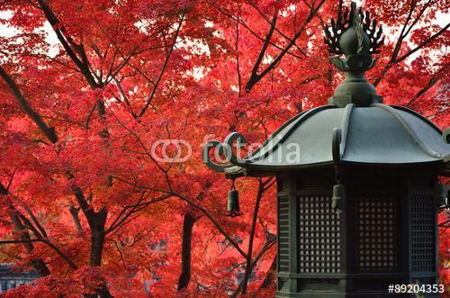Japán kert ősszel, őszi levelek, Premium Kollekció