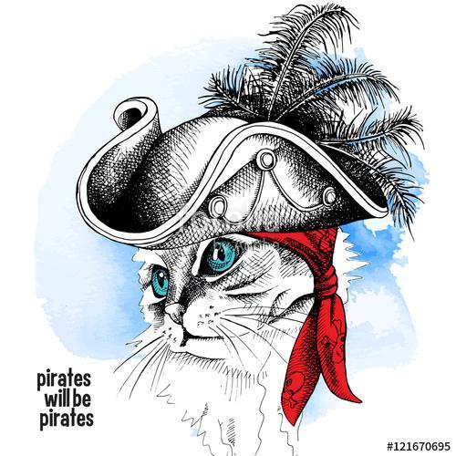 Image cat portrait in a pirate hat and bandana on blue backgroun, Premium Kollekció
