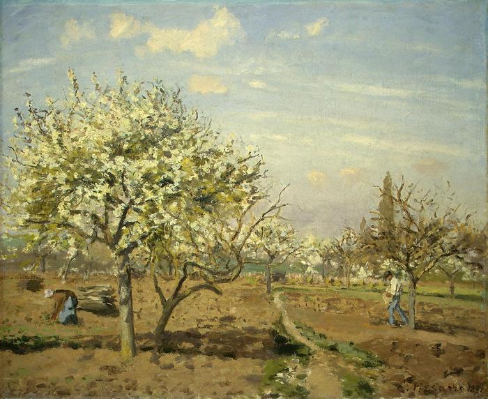 Gyümölcsöskert, Camille Pissarro